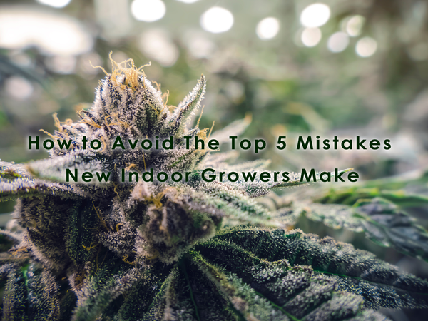 The Top 5 Mistakes New Indoor Growers Make—And How to Avoid Them