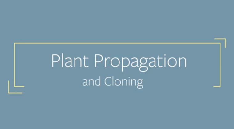 Plant Propagation and Cloning - Single Course