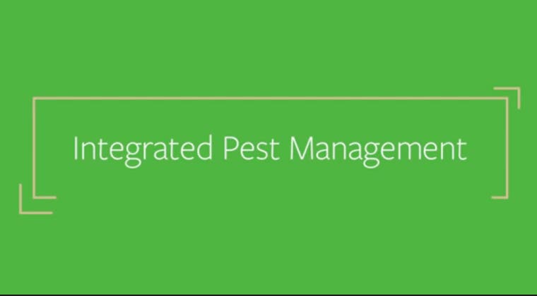 Integrated Pest Management: Prevention - Single Course