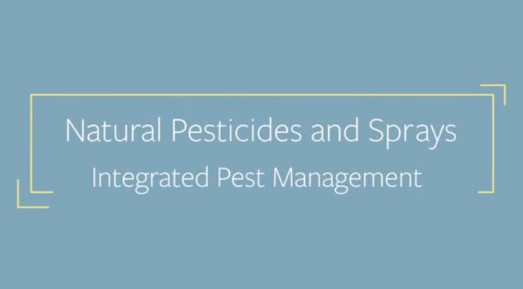 Integrated Pest Management: Natural Pesticides and Sprays - Single Course