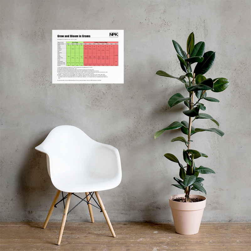 NPK RAW All-In-One Grow & Bloom Products Feeding Chart Grams Poster